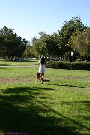 Original 1333 px/ 2000 px