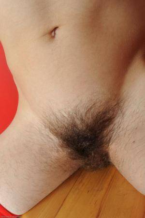 Original 682 px/ 1024 px