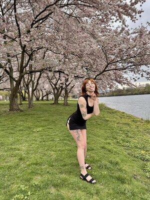 Original 513 px/ 680 px