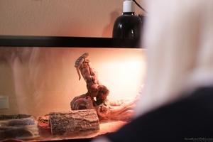 Original 1920 px/ 1280 px