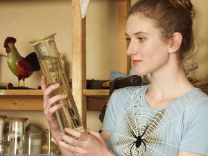 Original 1024 px/ 768 px