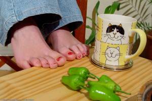 Original 1024 px/ 685 px