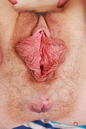 Original 2000 px/ 3000 px