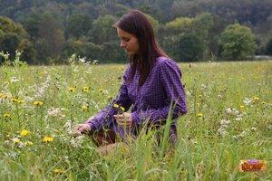 Original 2464 px/ 1643 px