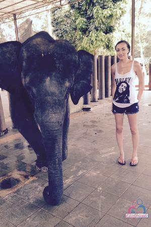 Original 2000 px/ 3000 px