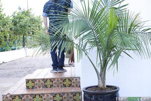 Original 1620 px/ 1080 px