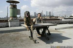 Original 900 px/ 600 px