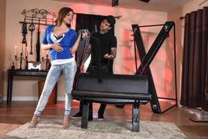 Original 2491 px/ 1663 px