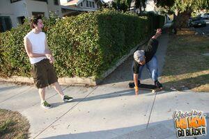 Original 1584 px/ 1056 px