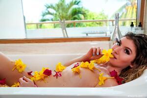 Original 6000 px/ 4000 px