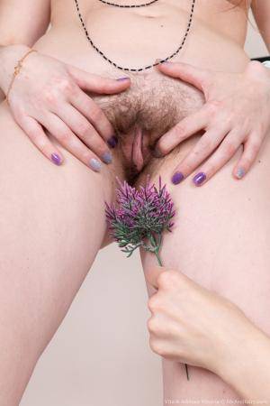 Original 2000 px/ 3000 px