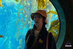 Original 3000 px/ 2000 px