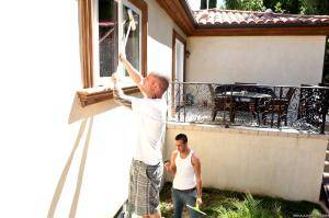 Original 2495 px/ 1663 px