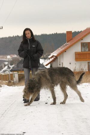 Original 1024 px/ 1536 px