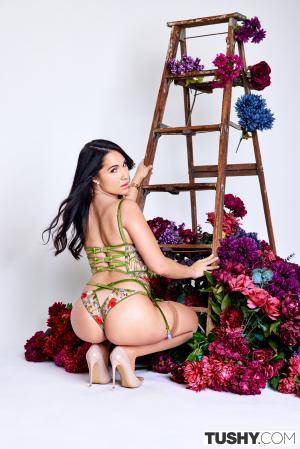 Original 2000 px/ 2999 px