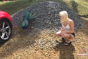 Original 3000 px/ 2000 px