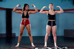 Original 2495 px/ 1663 px