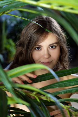 Original 5464 px/ 8192 px