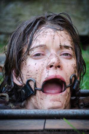 Original 795 px/ 1200 px