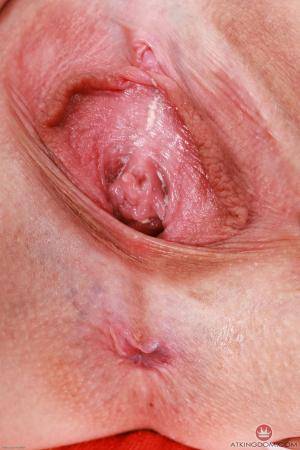 Original 2000 px/ 3000 px