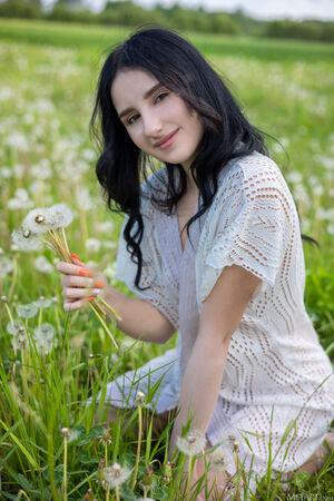 Original 3648 px/ 5472 px