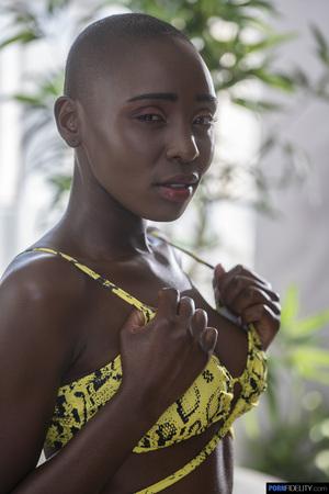 #PornFidelity Zaawaadi - Pure Black Magic