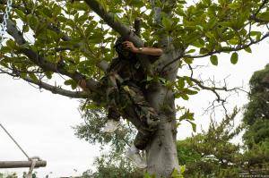 Original 2499 px/ 1663 px