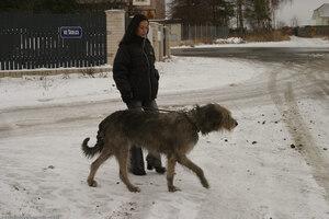 Original 1536 px/ 1024 px