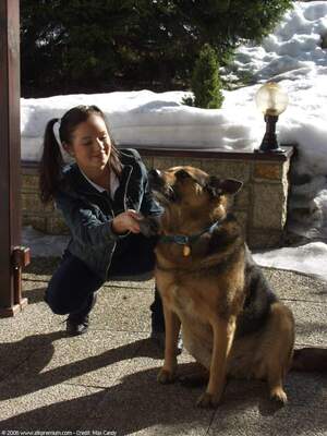 Original 1200 px/ 1600 px