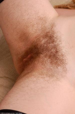 Original 1021 px/ 1536 px