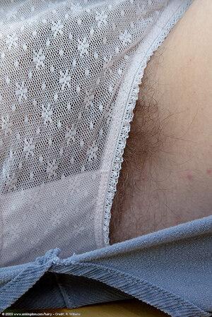 Original 684 px/ 1024 px