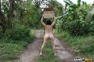 Original 2000 px/ 1333 px