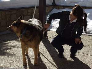 Original 1600 px/ 1200 px