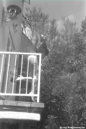 Original 1066 px/ 1600 px