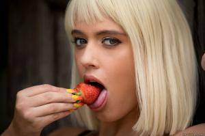 Original 2495 px/ 1663 px