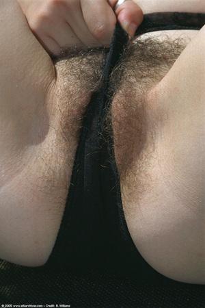 Original 682 px/ 1024 px