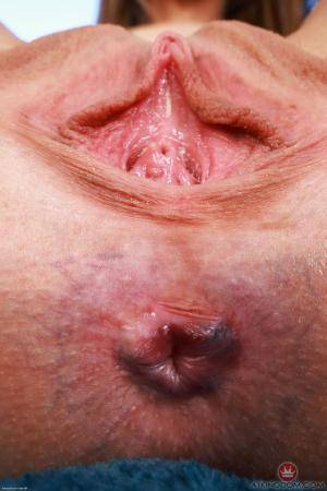 Original 2000 px/ 3000 px