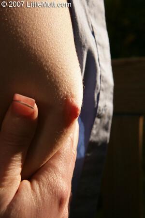 Original 800 px/ 1200 px