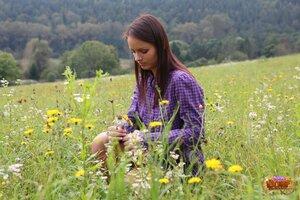 Original 2464 px/ 1643 px