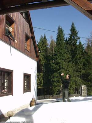 Original 1200 px/ 1600 px