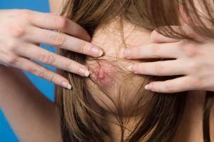 Original 5000 px/ 3333 px