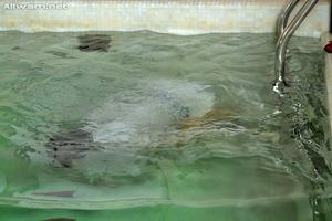 Original 1024 px/ 683 px