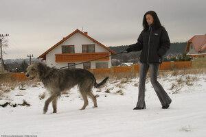 Original 1536 px/ 1024 px