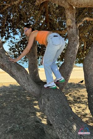 Original 2000 px/ 3000 px