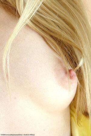 Original 684 px/ 1024 px