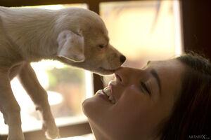 Original 2048 px/ 1365 px