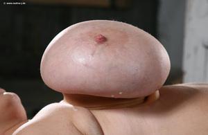 Original 1600 px/ 1039 px