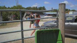 Original 1920 px/ 1080 px