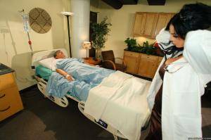 Original 2495 px/ 1663 px