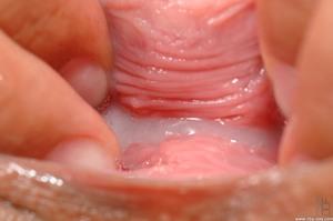 Original 2000 px/ 1328 px